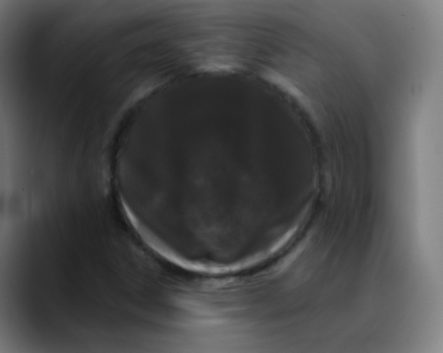 X0000089741306200707121500