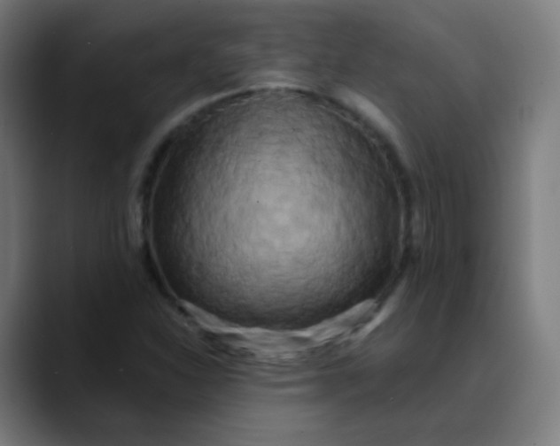 X0000089741310200707121500