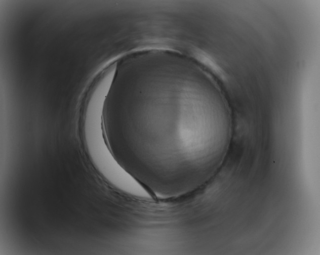 X0000089741312200707121500