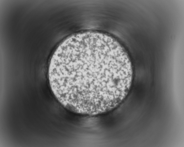 X0000089741314200707121500