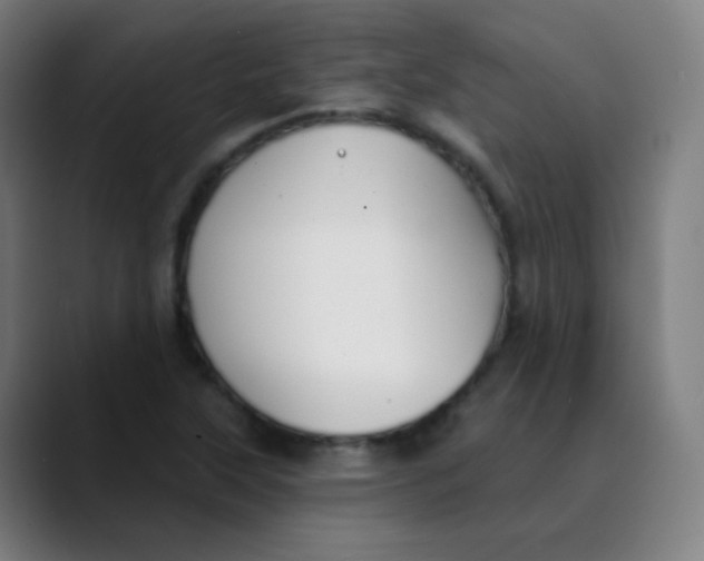 X0000089741315200707121500