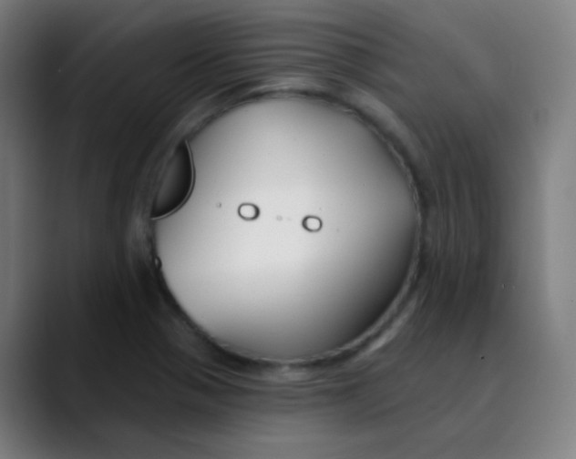 X0000089741321200707121500