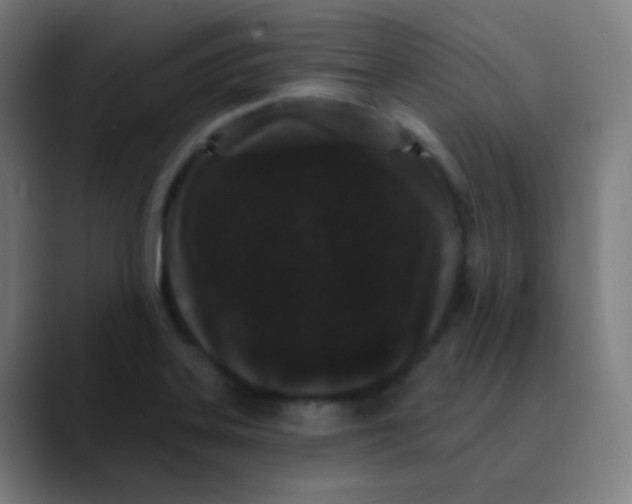 X0000089741323200707121500