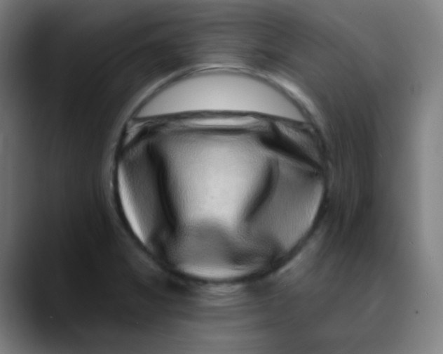 X0000089741325200707121500