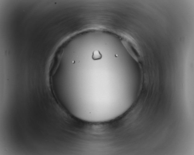 X0000089741326200707121500