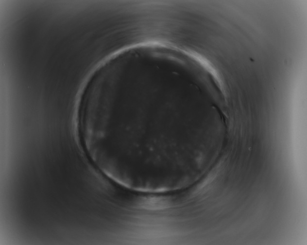 X0000089741327200707121500