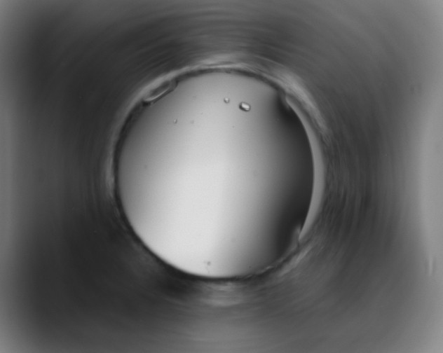 X0000089741328200707121500