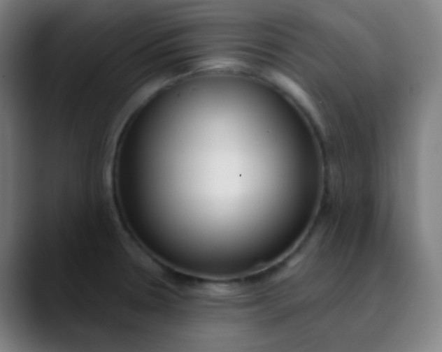 X0000089741330200707121500