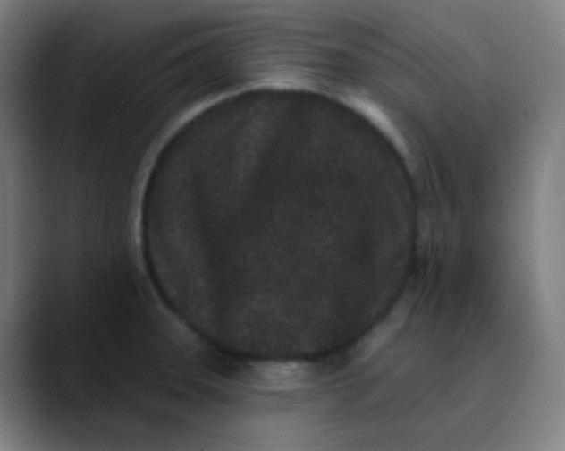 X0000089741331200707121500