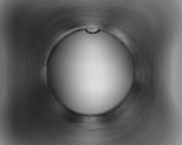 X0000089741332200707121500