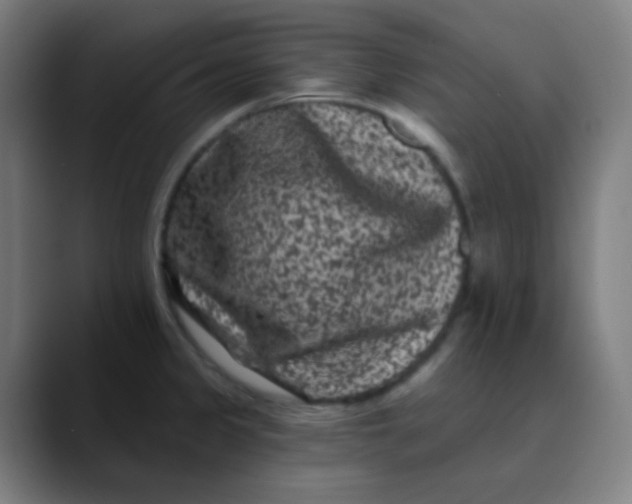 X0000089741333200707121500