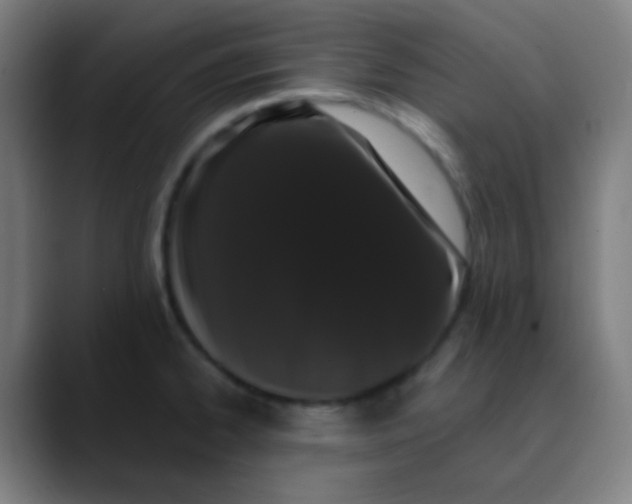 X0000089741334200707121500