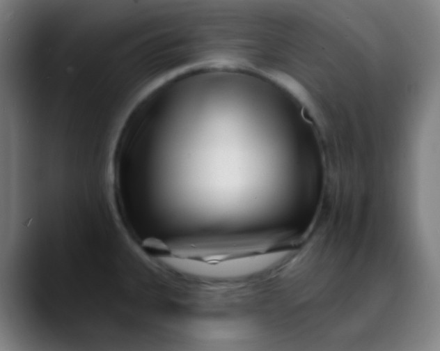 X0000089741335200707121500