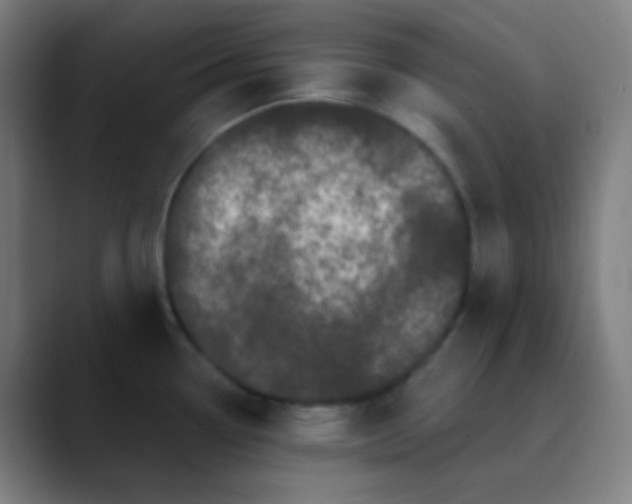 X0000089741338200707121500