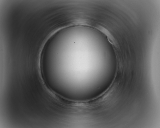 X0000089741339200707121500