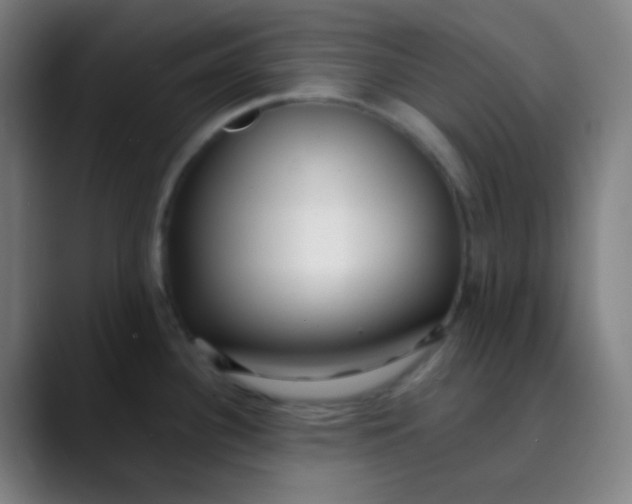 X0000089741340200707121500