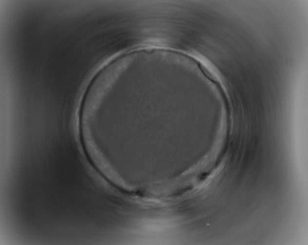 X0000089741341200707121500