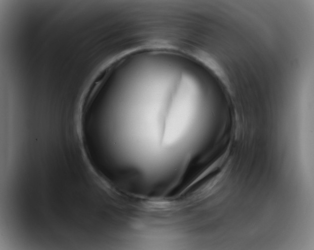 X0000089741342200707121500