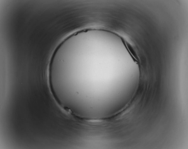 X0000089741343200707121500