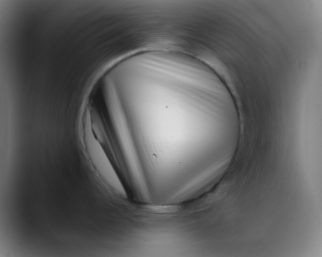 X0000089741344200707121500