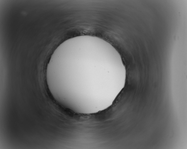 X0000089741345200707121500