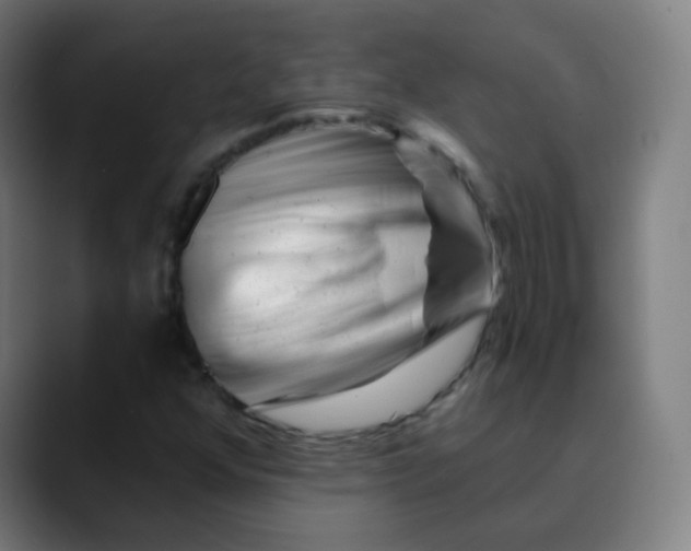 X0000089741352200707121500