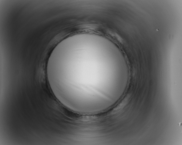 X0000089741354200707121500