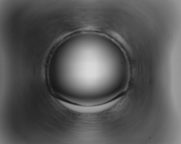 X0000089741356200707121500