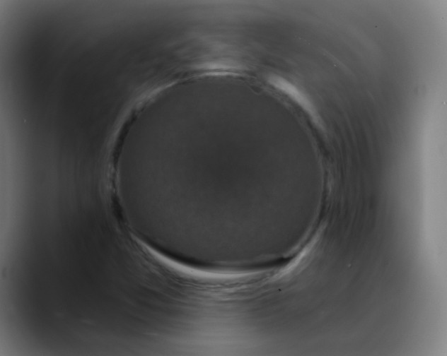 X0000089741357200707121500