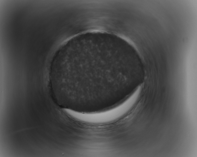 X0000089741359200707121500