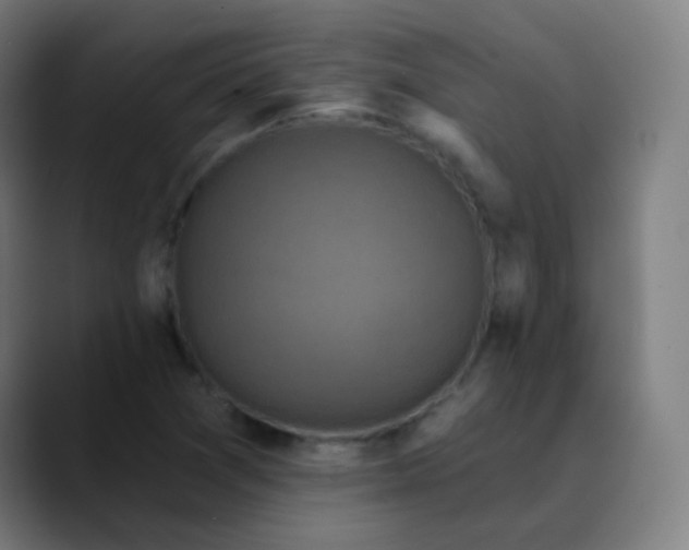 X0000089741361200707121500