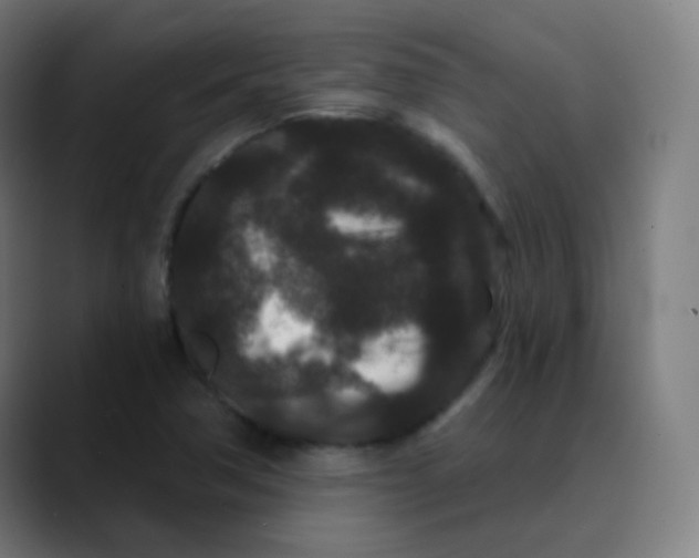 X0000089741362200707121500