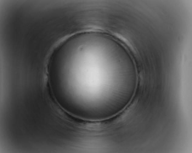 X0000089741363200707121500