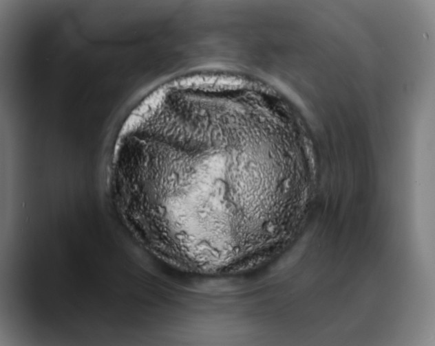 X0000089741367200707121459