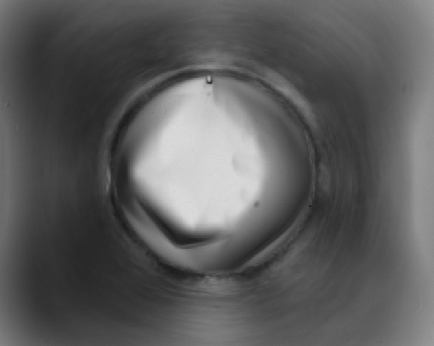 X0000089741368200707121459