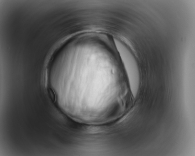 X0000089741371200707121459