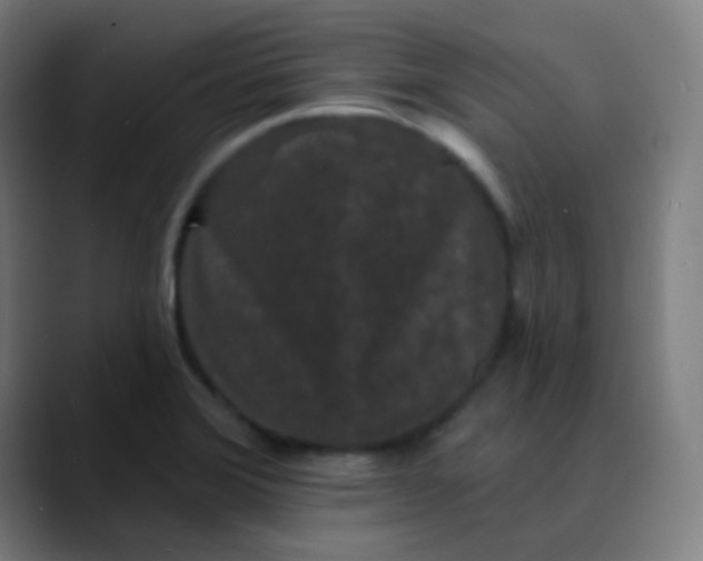 X0000089741372200707121459