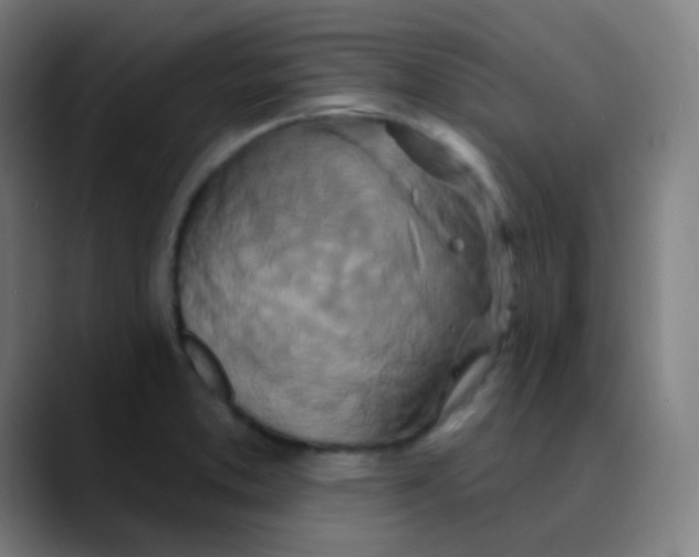 X0000089741373200707121459