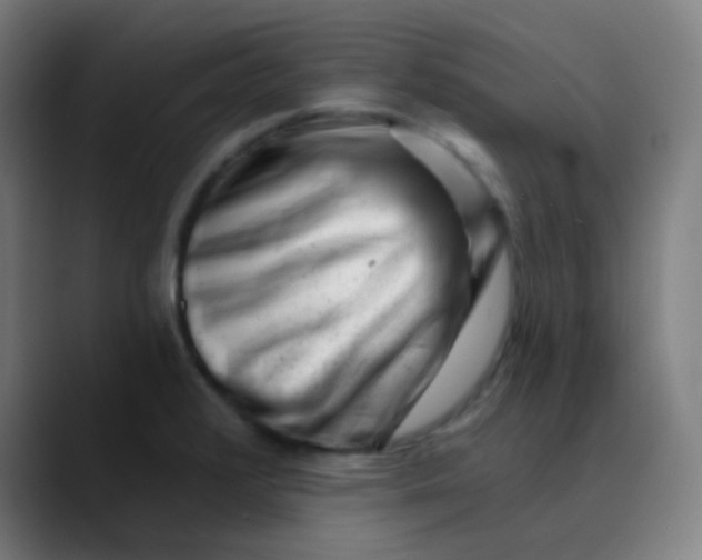 X0000089741376200707121459