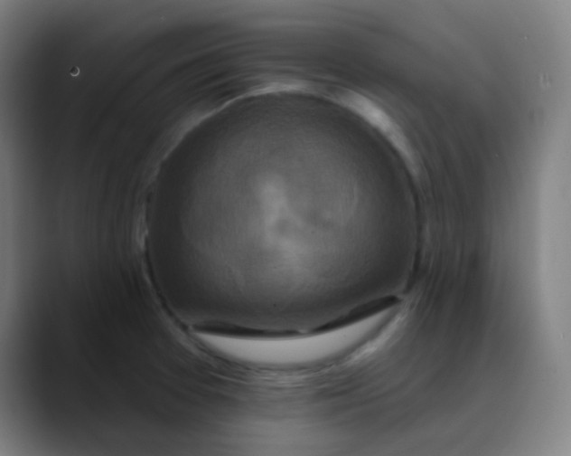 X0000089741377200707121459