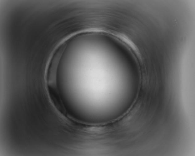 X0000089741380200707121459