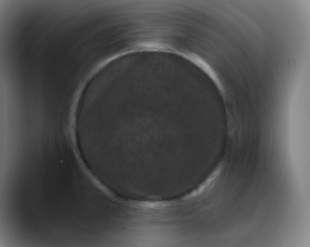 X0000089741381200707121459