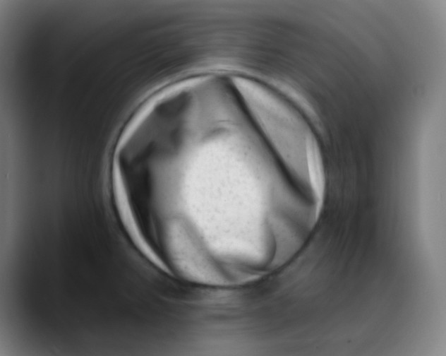 X0000089741382200707121459