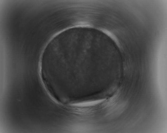 X0000089741383200707121459