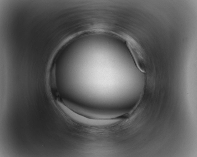 X0000089741384200707121459