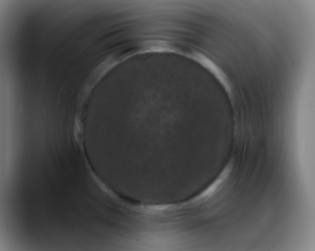 X0000089741385200707121459