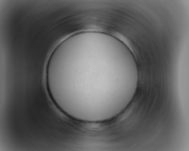 X0000089741387200707121459