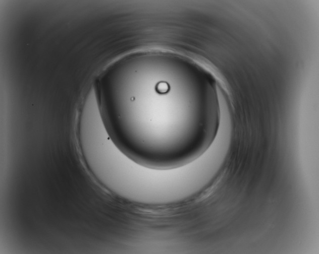 X0000089741388200707121459