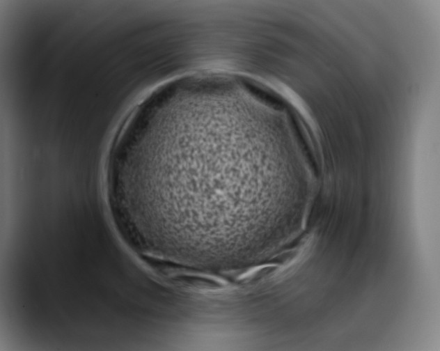 X0000089741389200707121459