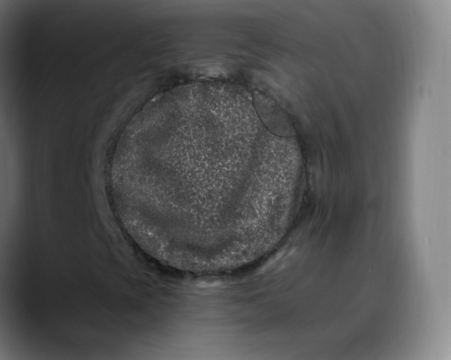 X0000089741393200707121459